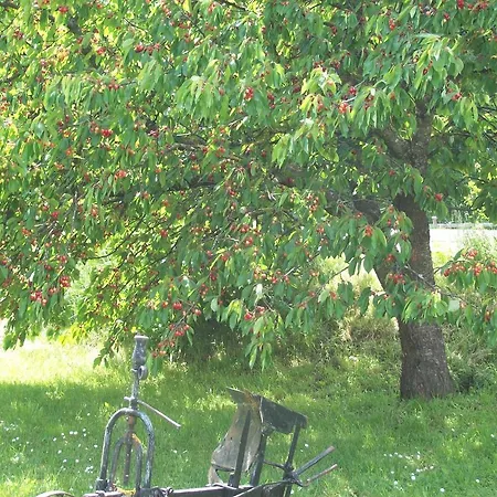 Bed & Breakfast La Riviere Lune 3*
